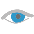 Polaris icon for web-based virtual reference books